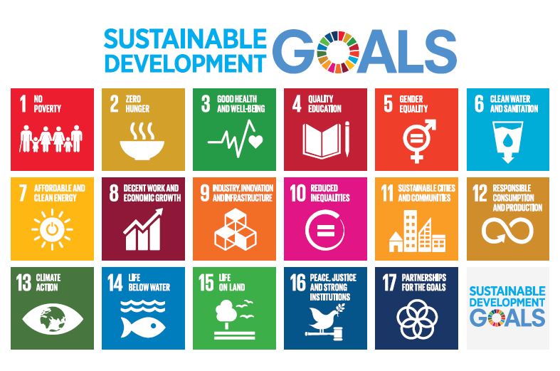 Logo SDG