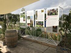 Blick auf Tafeln der Ausstellung "Urbanes Gärtnern - gemeinsam gärtnern in der Stadt". Foto: NUA