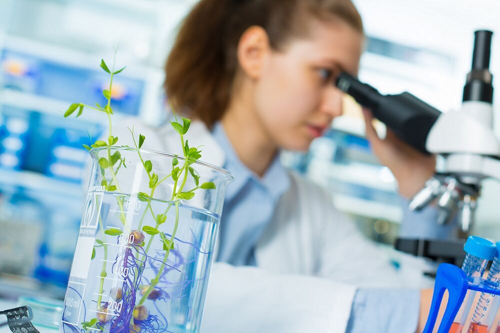 Forschungen an Pflanzen im Labor. Foto: © science photo / Fotolia
