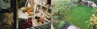Collage mit Vorher / Nachher Bildern einer Entsiegelungsmaßnahme. Foto: M. Graner