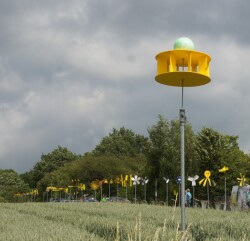 Gelbe Windräder - von Schüler:innen selbst gestaltet
