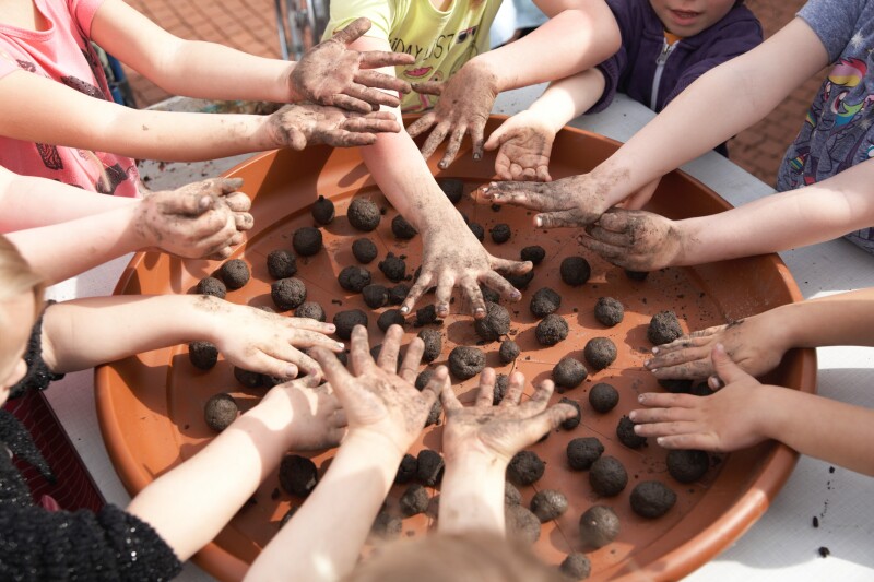 Hände von acht Kindern formen Samenkugeln in einer großen Schale