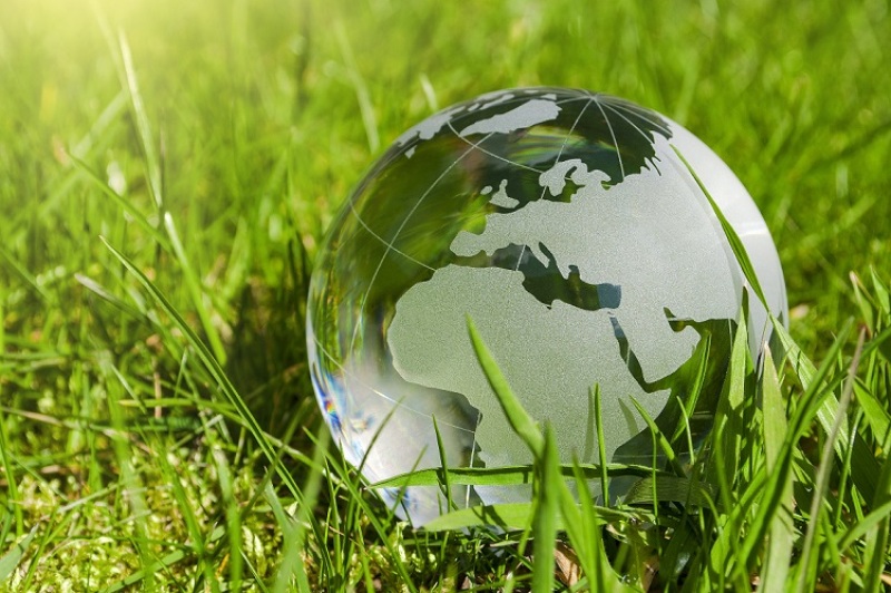 Glaskugel mit Gras mit eingraviertem Globus